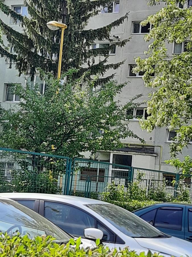 Home Uranus Brasov Ngoại thất bức ảnh